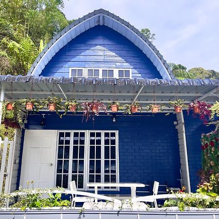 Blue Cabins By Pfordten Cottage Cao nguyên Cameron Ngoại thất bức ảnh