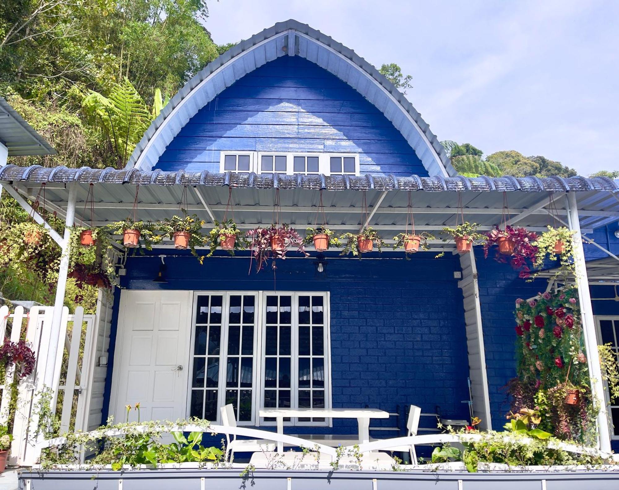 Blue Cabins By Pfordten Cottage Cao nguyên Cameron Ngoại thất bức ảnh