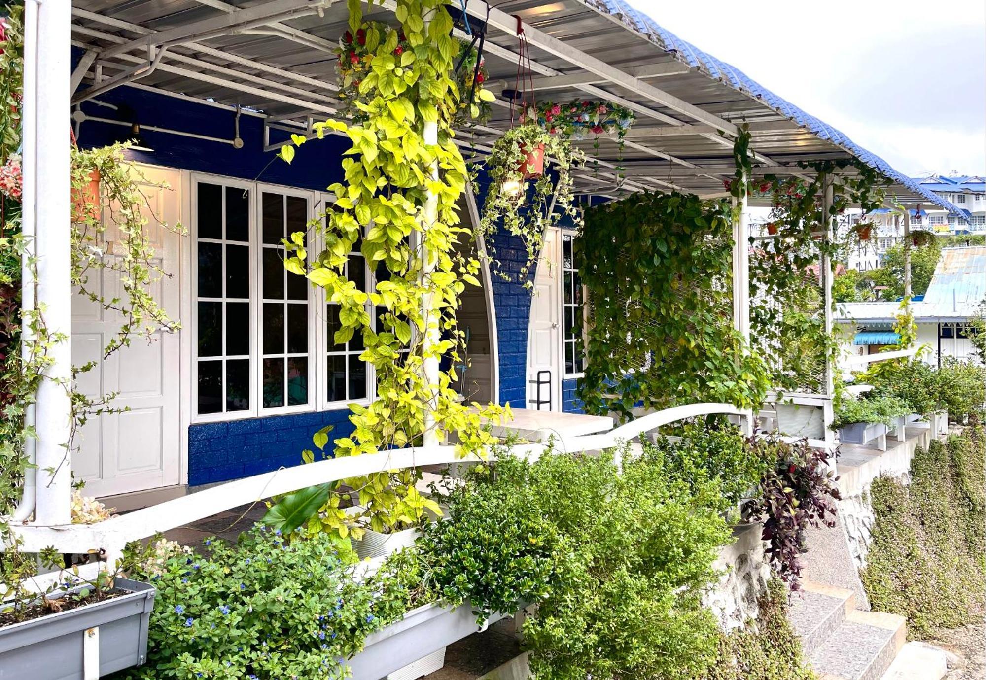 Blue Cabins By Pfordten Cottage Cao nguyên Cameron Ngoại thất bức ảnh